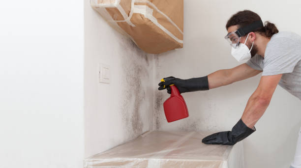 Professional Mold Testing technician working in Lock Haven, PA