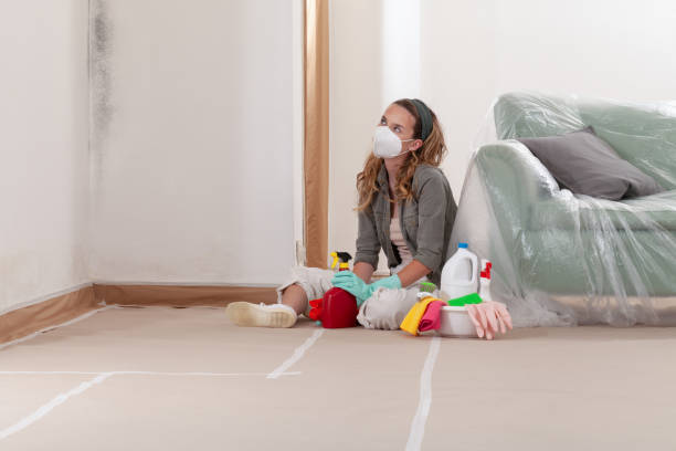 Reliable Mold Testing contractor in Lock Haven, PA by WQB Mold Removal